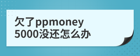欠了ppmoney 5000没还怎么办