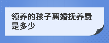 领养的孩子离婚抚养费是多少