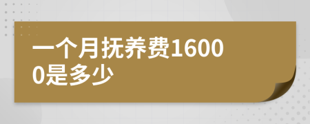 一个月抚养费16000是多少