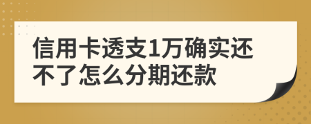 信用卡透支1万确实还不了怎么分期还款