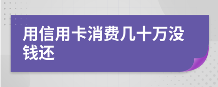 用信用卡消费几十万没钱还