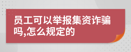 员工可以举报集资诈骗吗,怎么规定的