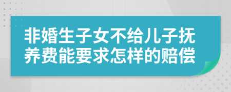 非婚生子女不给儿子抚养费能要求怎样的赔偿