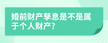 婚前财产孳息是不是属于个人财产?