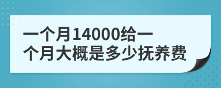 一个月14000给一个月大概是多少抚养费