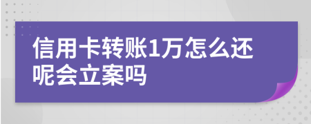 信用卡转账1万怎么还呢会立案吗