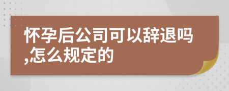 怀孕后公司可以辞退吗,怎么规定的