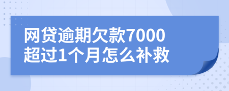 网贷逾期欠款7000超过1个月怎么补救