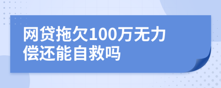 网贷拖欠100万无力偿还能自救吗