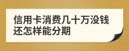 信用卡消费几十万没钱还怎样能分期