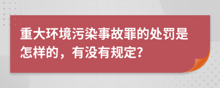 重大环境污染事故罪的处罚是怎样的，有没有规定？