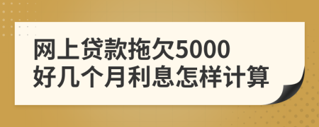 网上贷款拖欠5000好几个月利息怎样计算