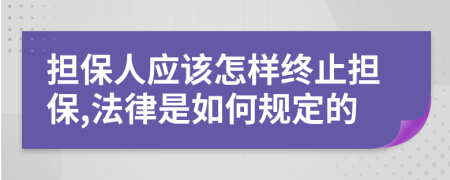 担保人应该怎样终止担保,法律是如何规定的