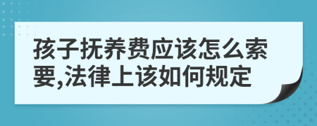 孩子抚养费应该怎么索要,法律上该如何规定