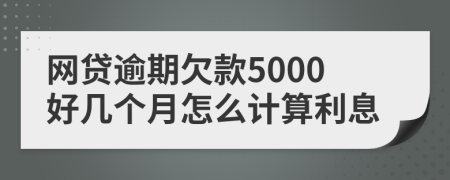 网贷逾期欠款5000好几个月怎么计算利息