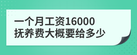 一个月工资16000抚养费大概要给多少