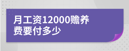 月工资12000赡养费要付多少