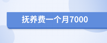 抚养费一个月7000