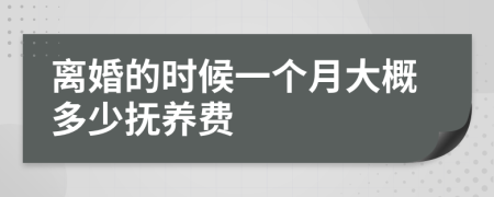 离婚的时候一个月大概多少抚养费