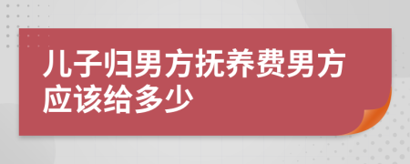 儿子归男方抚养费男方应该给多少