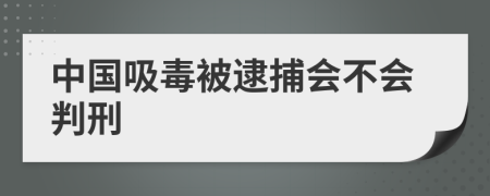 中国吸毒被逮捕会不会判刑