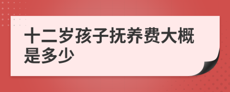 十二岁孩子抚养费大概是多少