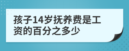 孩子14岁抚养费是工资的百分之多少