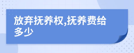 放弃抚养权,抚养费给多少