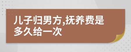 儿子归男方,抚养费是多久给一次