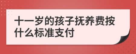 十一岁的孩子抚养费按什么标准支付
