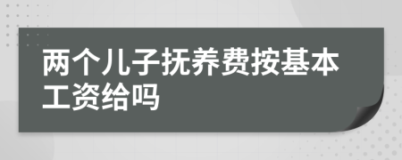 两个儿子抚养费按基本工资给吗