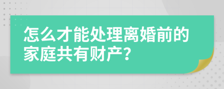 怎么才能处理离婚前的家庭共有财产？