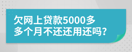 欠网上贷款5000多多个月不还还用还吗？