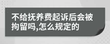 不给抚养费起诉后会被拘留吗,怎么规定的