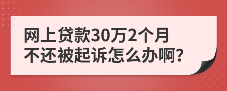 网上贷款30万2个月不还被起诉怎么办啊？