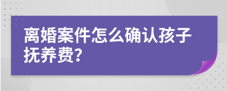 离婚案件怎么确认孩子抚养费？