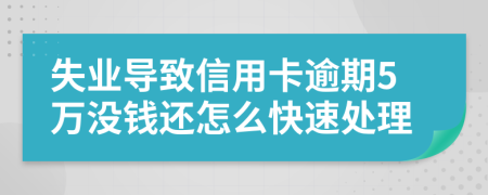 失业导致信用卡逾期5万没钱还怎么快速处理