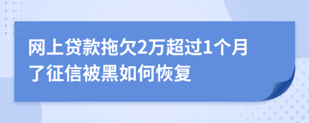网上贷款拖欠2万超过1个月了征信被黑如何恢复