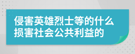 侵害英雄烈士等的什么损害社会公共利益的