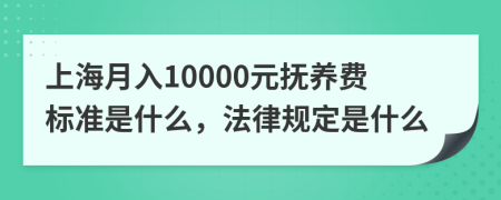 上海月入10000元抚养费标准是什么，法律规定是什么