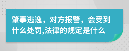 肇事逃逸，对方报警，会受到什么处罚,法律的规定是什么