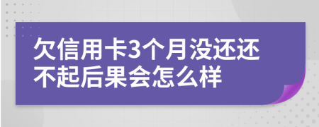欠信用卡3个月没还还不起后果会怎么样
