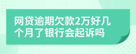 网贷逾期欠款2万好几个月了银行会起诉吗