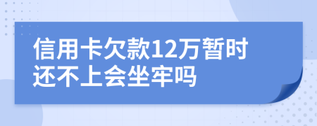 信用卡欠款12万暂时还不上会坐牢吗