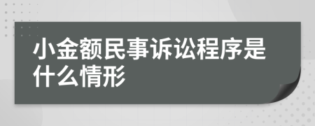 小金额民事诉讼程序是什么情形