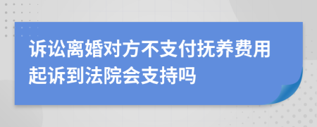 诉讼离婚对方不支付抚养费用起诉到法院会支持吗