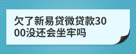 欠了新易贷微贷款3000没还会坐牢吗