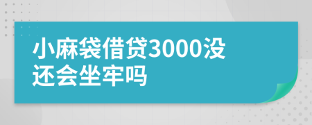 小麻袋借贷3000没还会坐牢吗