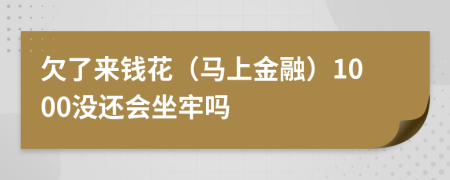 欠了来钱花（马上金融）1000没还会坐牢吗