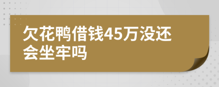 欠花鸭借钱45万没还会坐牢吗